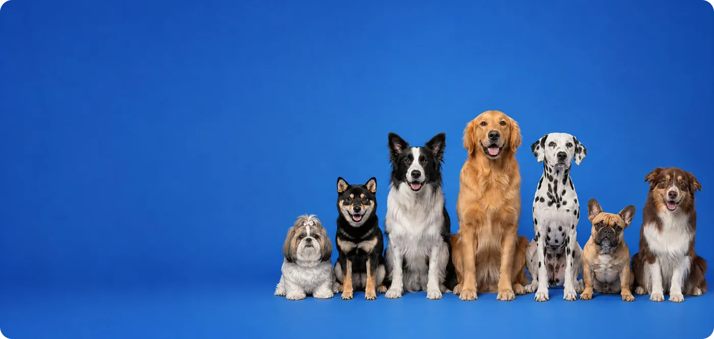 Tudo para a saúde e bem-estar do seu animal