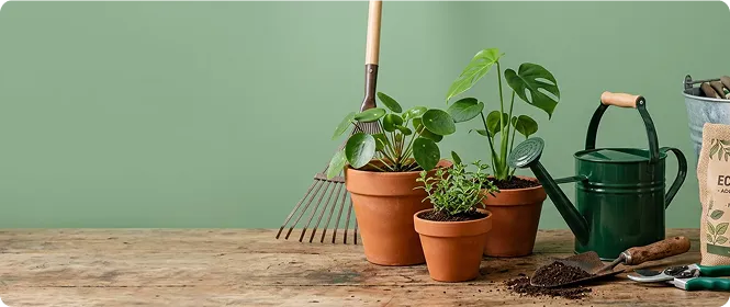 Vasos e ferramentas de jardinagem